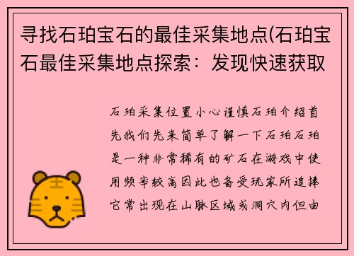 寻找石珀宝石的最佳采集地点(石珀宝石最佳采集地点探索：发现快速获取宝石的秘诀)
